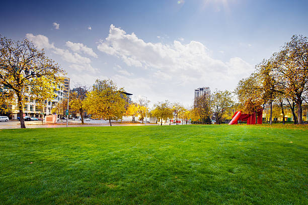 Sofa on a green field against the blue sky