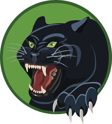 Angry Black Panther Stock Illustration - Download Image Now - Snarling,  Animal Body Part, Animal Eye - iStock