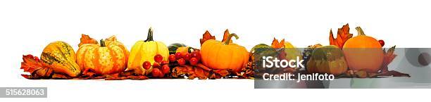 Long Autumn Border Of Pumpkins Gourds And Leaves Stock Photo - Download Image Now - Pumpkin, White Background, Leaf