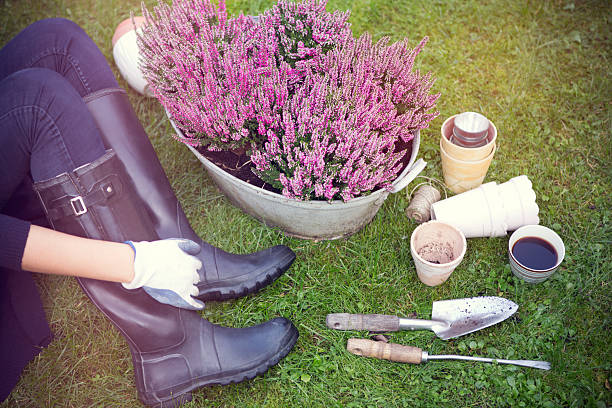 istock Woman in garden. 515629949