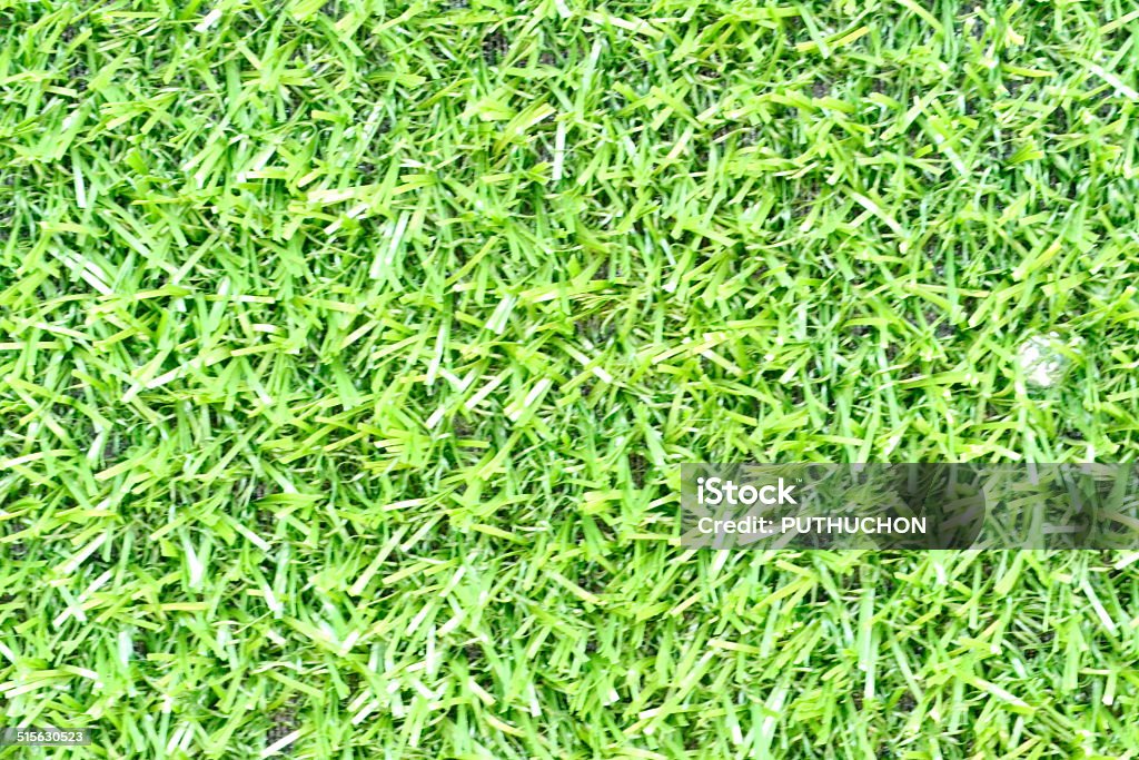 greensward Green grass surface greensward Green grass surface background Agricultural Field Stock Photo