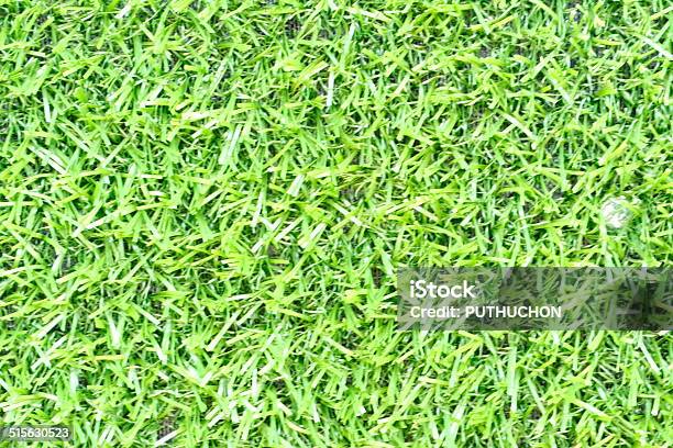 Greensward Green Grass Surface Stock Photo - Download Image Now - Agricultural Field, Beauty In Nature, Close-up