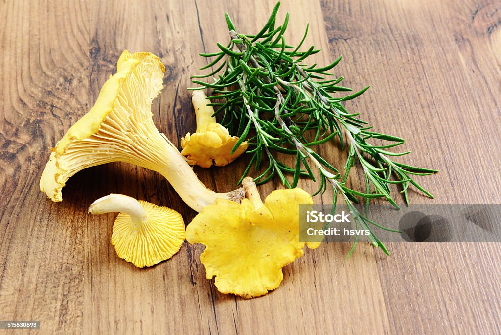 golden chanterelle with rosemary golden chanterelle mushroom (Cantharellus cibarius) with rosemary. Cantharellus Stock Photo