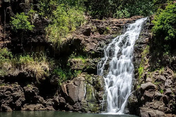 Waimea falls waterfall, Oahu, Hawaii