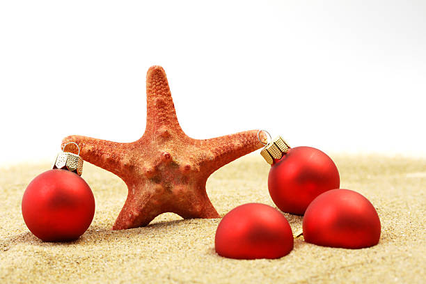 istock Starfish with red Christmas on sandy beach 515633943
