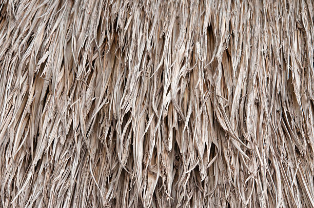 istock Walls of straw dry 515634635
