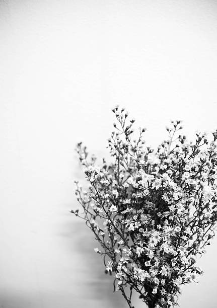 istock beautiful vintage flower 515644278