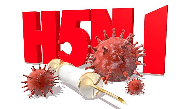 istock H5N1 desease, abstract virus models and syringe 515645580