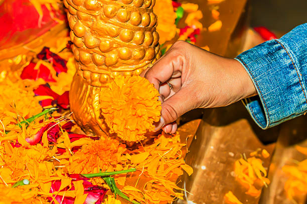 istock yellow worship flowers with women hand 515645914