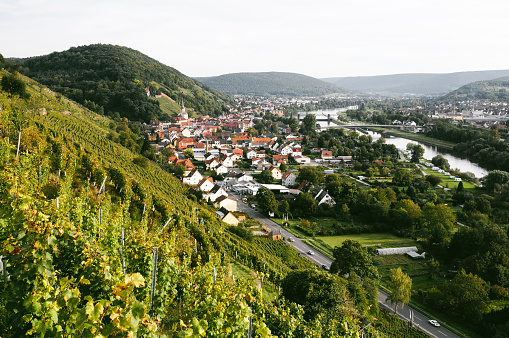 Klingenberg in Franconia between vineyards and the Main