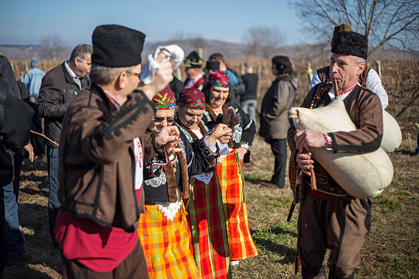 élagage des vignobles rituel en bulgarie - clipper guard photos et images de collection