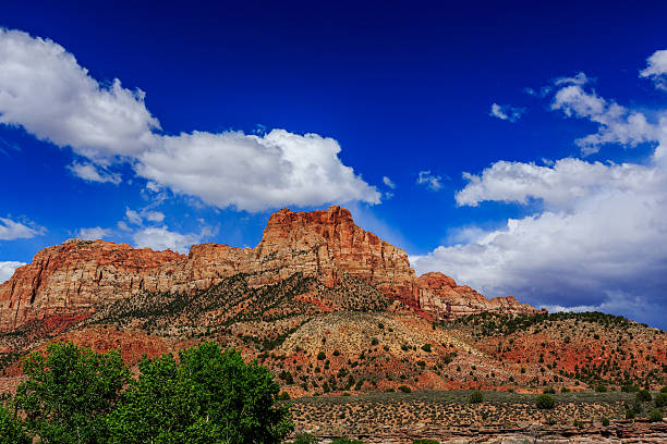 istock Zion National Park in Utah, USA. 515646910