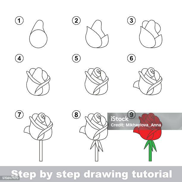 Drawing Tutorial How To Draw A Rose Stock Illustration - Download Image Now - Cute, Development, Education