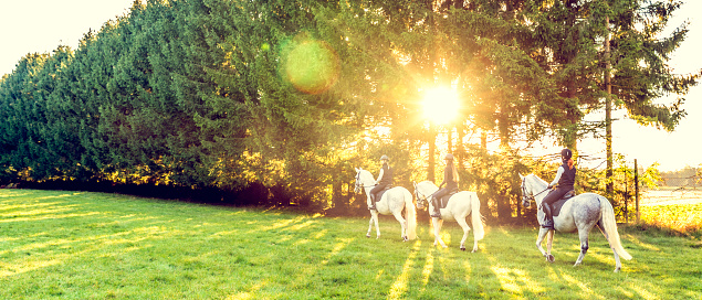 Three friends enjoying horseback riding along countryside trail, panoramic shot.