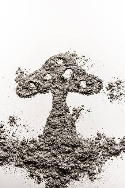istock Mushroom shape illustration made in grey ash 515651568