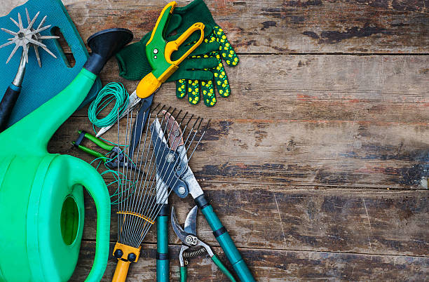 herramientas de jardín - herramientas jardineria fotografías e imágenes de stock
