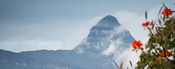 Photo of Sri Lanka mountain