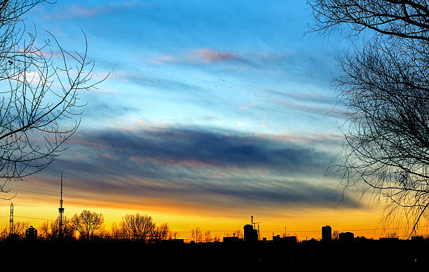 istock Silhouette cityscape and tree branches on beautiful gold sunset 515656094