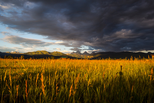A rain storm moves over the Teton Range, sheading light on the wheat fields of Teton Valley, Idaho.