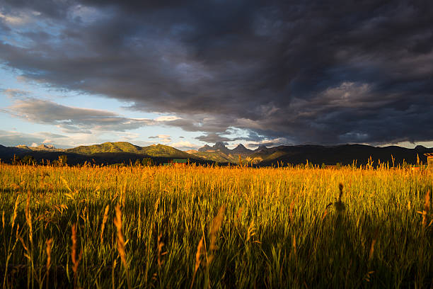 lato burza chmury - teton valley zdjęcia i obrazy z banku zdjęć