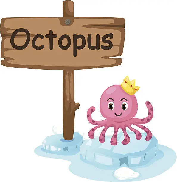 Vector illustration of animal alphabet letter O for octopus