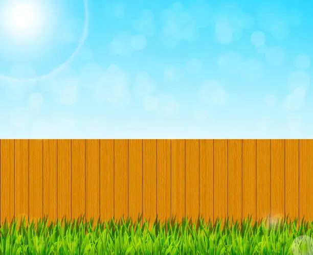 Vector illustration of Backyard garden background