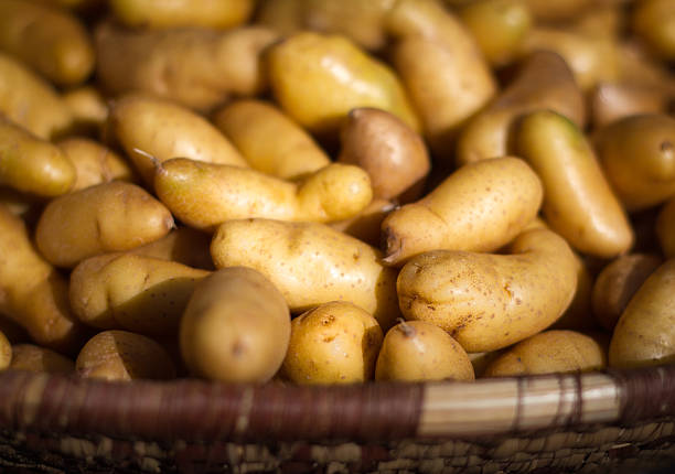 batata fingerling no cesto no mercado de produtos agrícolas (close-up) - fingerling imagens e fotografias de stock