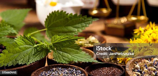 Fresh Medicinal Herbs Stock Photo - Download Image Now - Alchemy, Alternative Medicine, Amphora