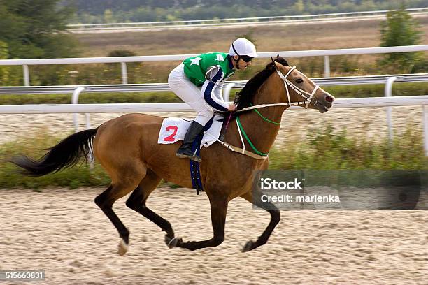 Horse Racing Stock Photo - Download Image Now - Racehorse, Horseracing Track, Thoroughbred Horse