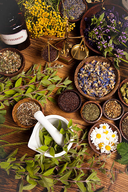 istock Natural medicine, herbs, mortar 515661103