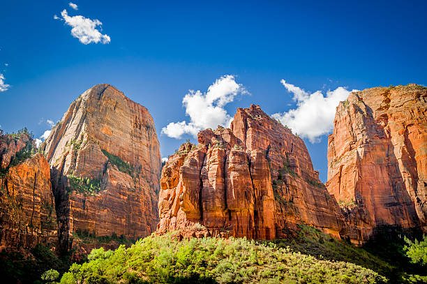 istock zion national park landscape 515661373