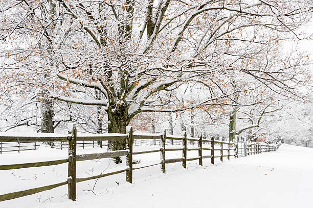 istock XXXL: Snow covered fence and trees next to a field 515663065