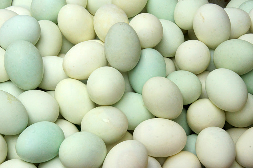 Duck eggs