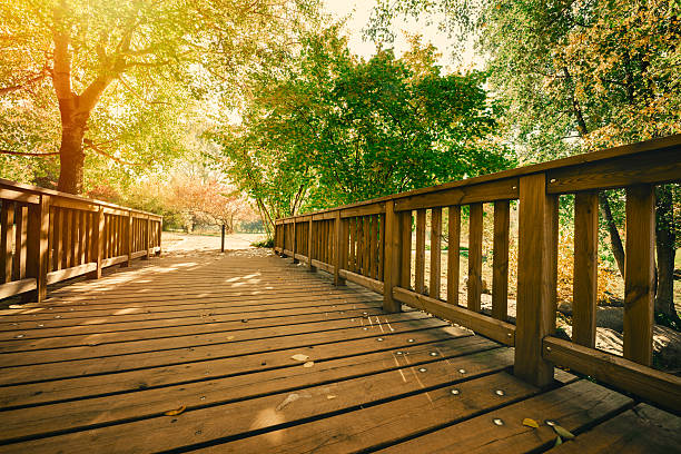 Wooden bridge in a Park