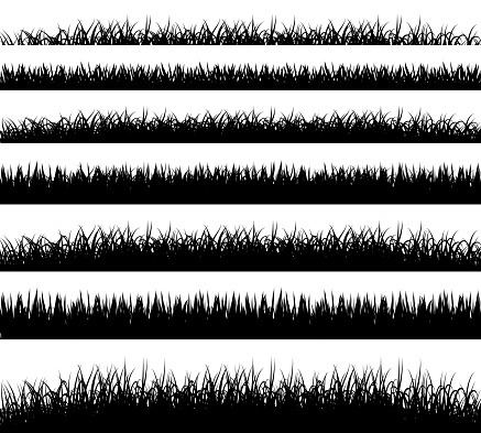 Grass borders silhouette on white background vector