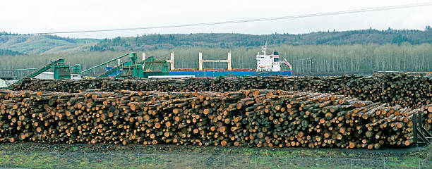 istock Logs being loaded onto ship on river in Washington state 515674234