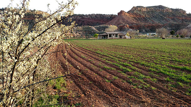 istock Newly plowed fields green grass below South Mesa Rockville Utah 515674788
