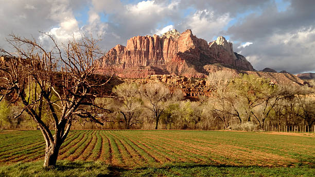 istock New crops in fields springtime Mt Kinesava Rockville Utah 515674924