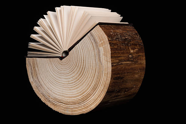 Tree Trunk and Book. stock photo