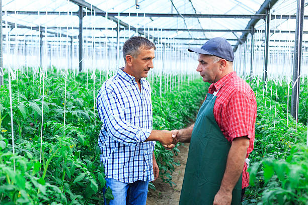 istock Gardeners in a greenhouse shaking hands 515678124