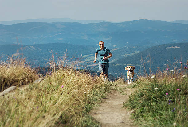 istock Man runs with his dog on mountain meadow 515678310