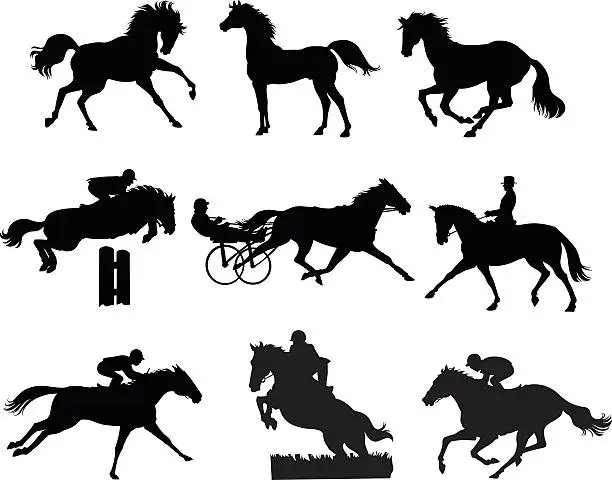 Vector illustration of Nine Horses Silhouettes - Set