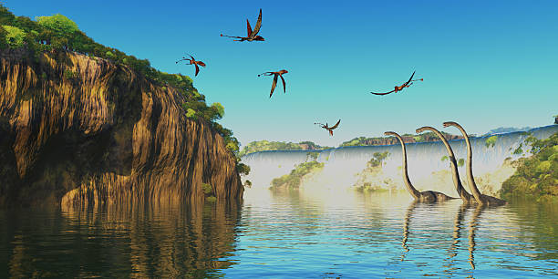 Dimorphodon and Omeisaurus Dinosaurs Omeisaurus herbivorous sauropod dinosaurs wade through a river below a waterfall as Dimorphodon flying reptiles fly overhead. jurassic photos stock pictures, royalty-free photos & images