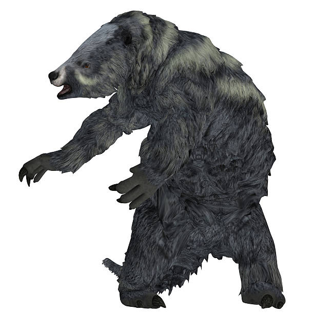 istock Eremotherium Sloth on White 515680684