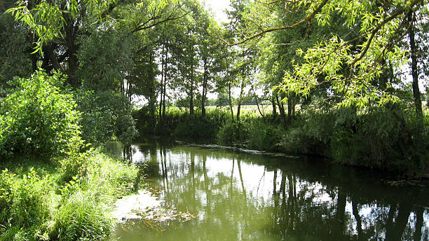 istock landscape with river with brushwood 515681396