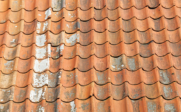 istock Aged tiled roof and lichen 515684010