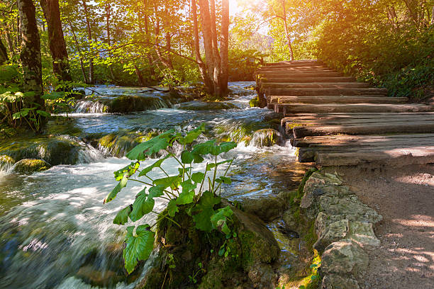 istock Plitvice lakes of Croatia 515684305