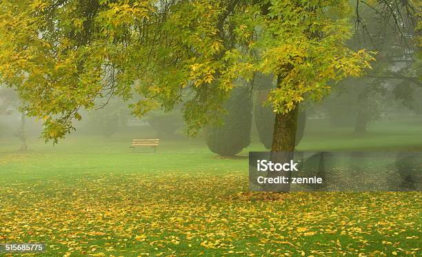 In The Mysterious Fog Stock Photo - Download Image Now - New Westminster, Public Park, Autumn