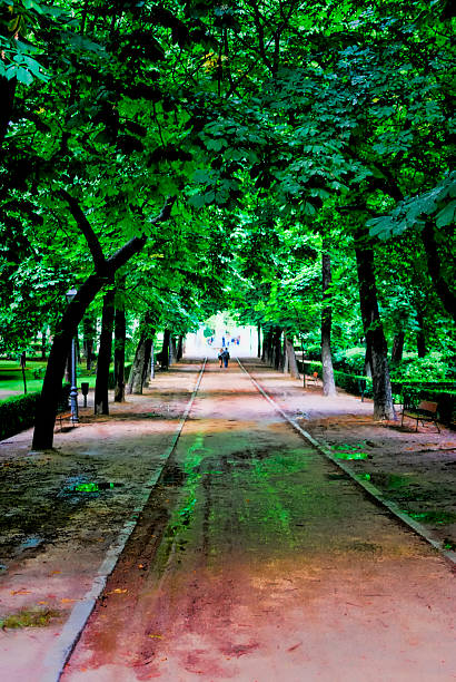 istock Couple in love strolling through the park embracing each other 515685865