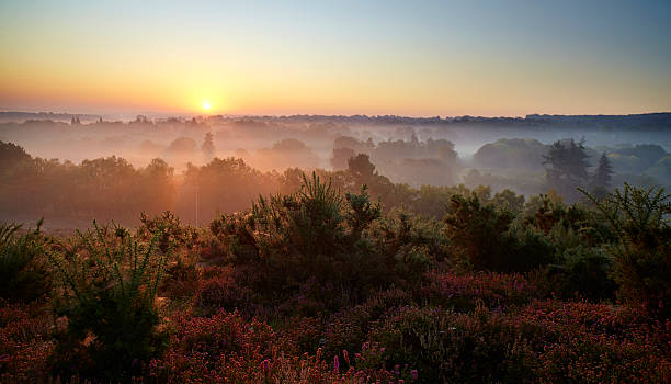 istock Dawn In The Surrey Hills 515686005